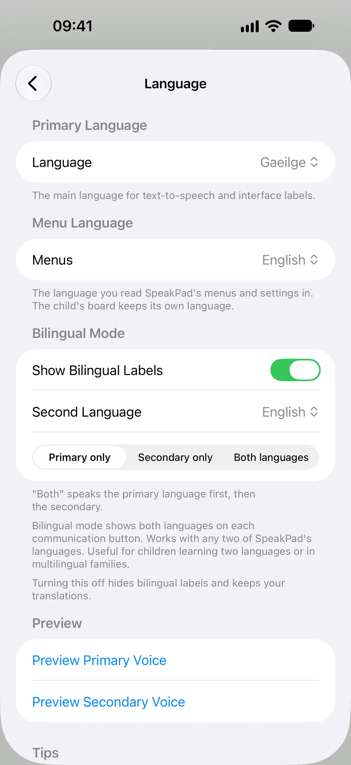 SpeakPad language settings with the board language set to Gaeilge and the menus set to English